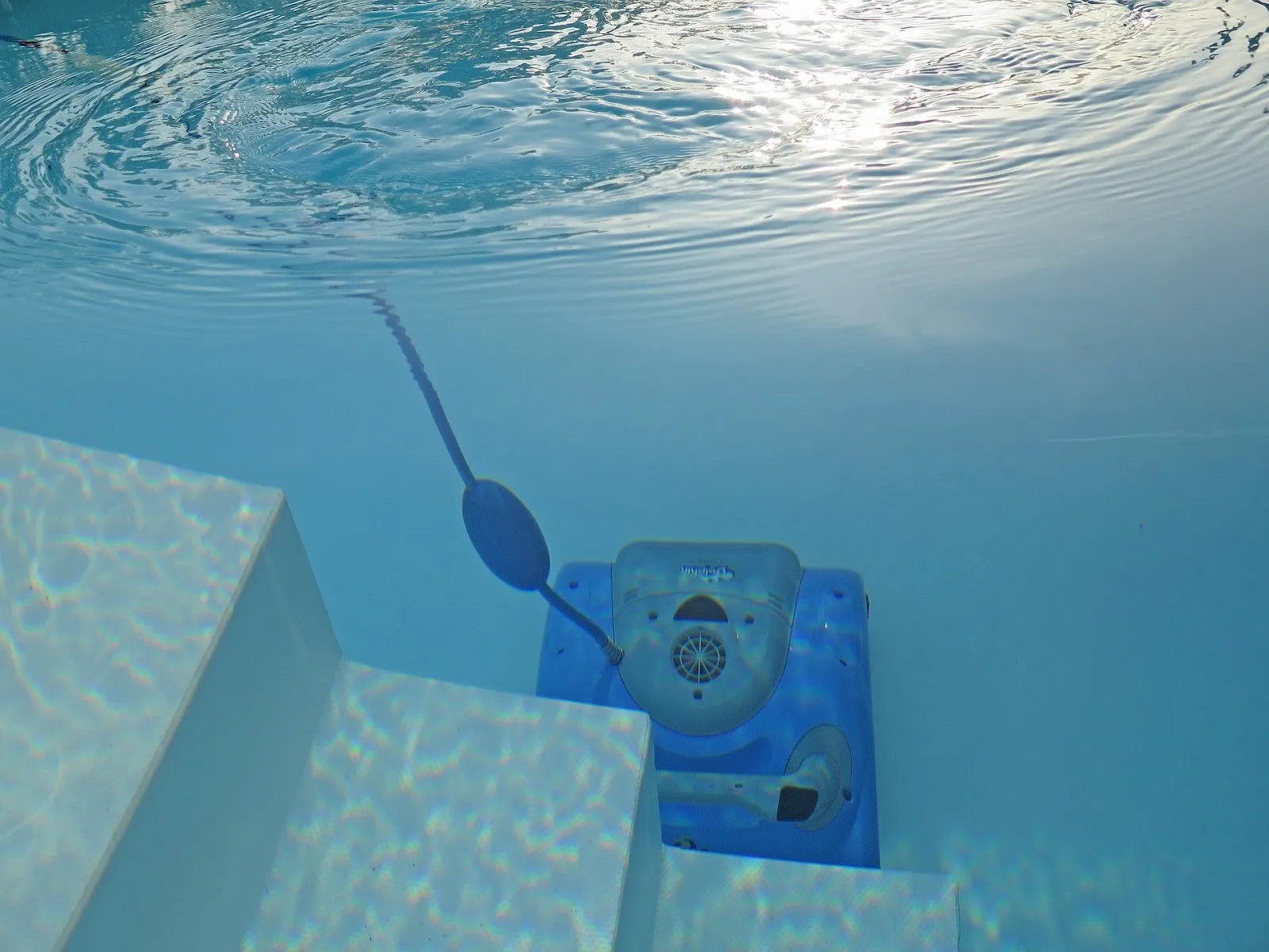 6 Steps to Vacuum A Pool (Ground Pool & Inground Pool)